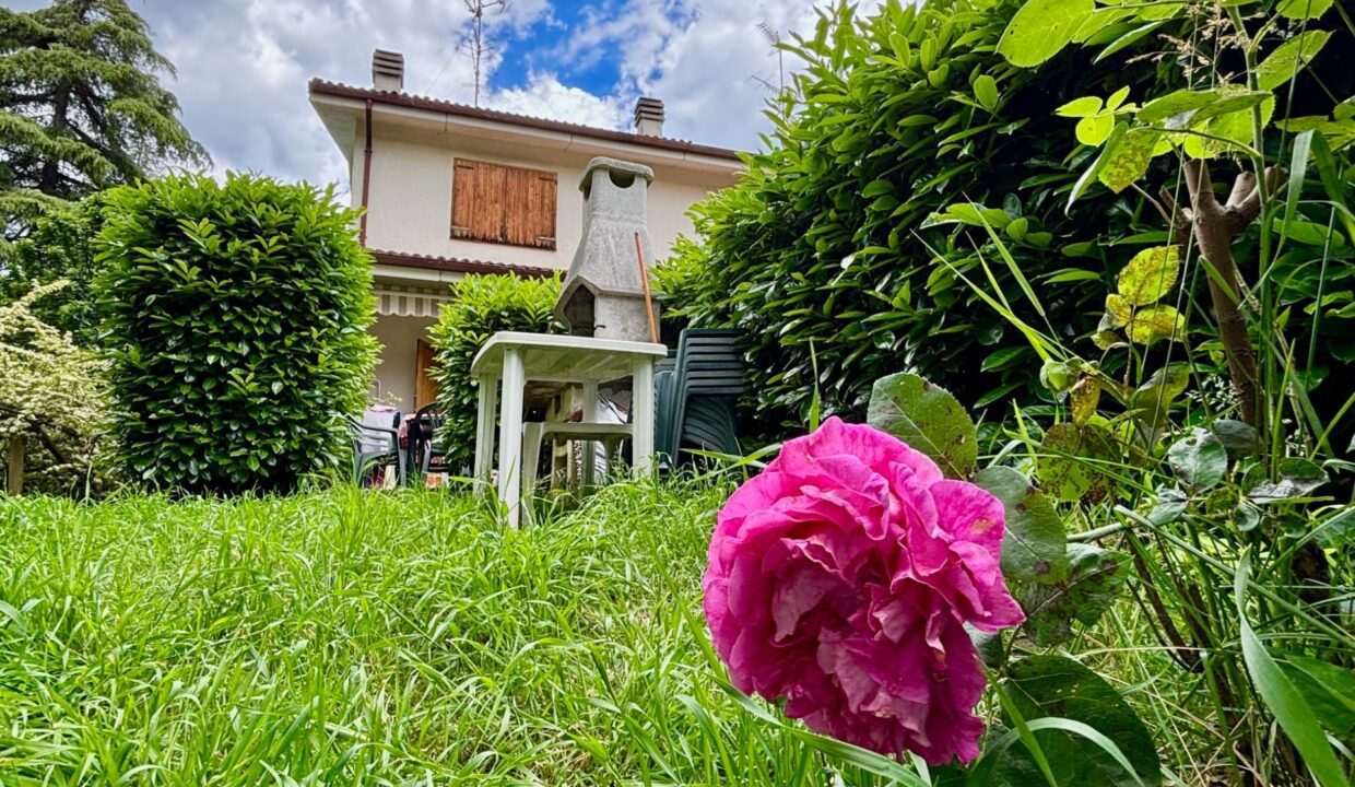 photo_154298_SLSDAISY