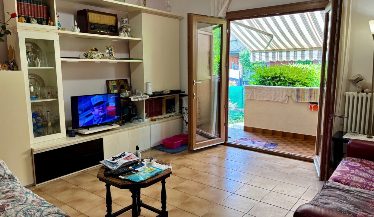 photo_154298_SLSDAISY-4