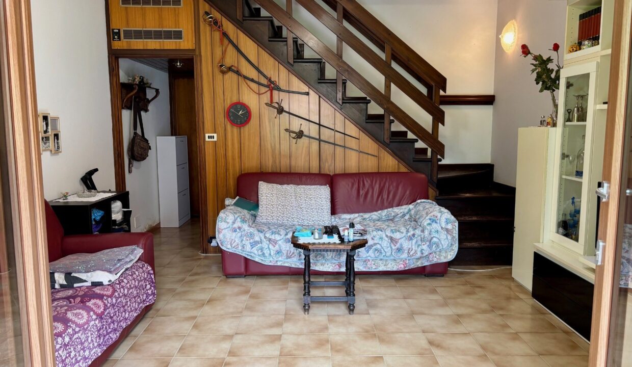 photo_154298_SLSDAISY-6