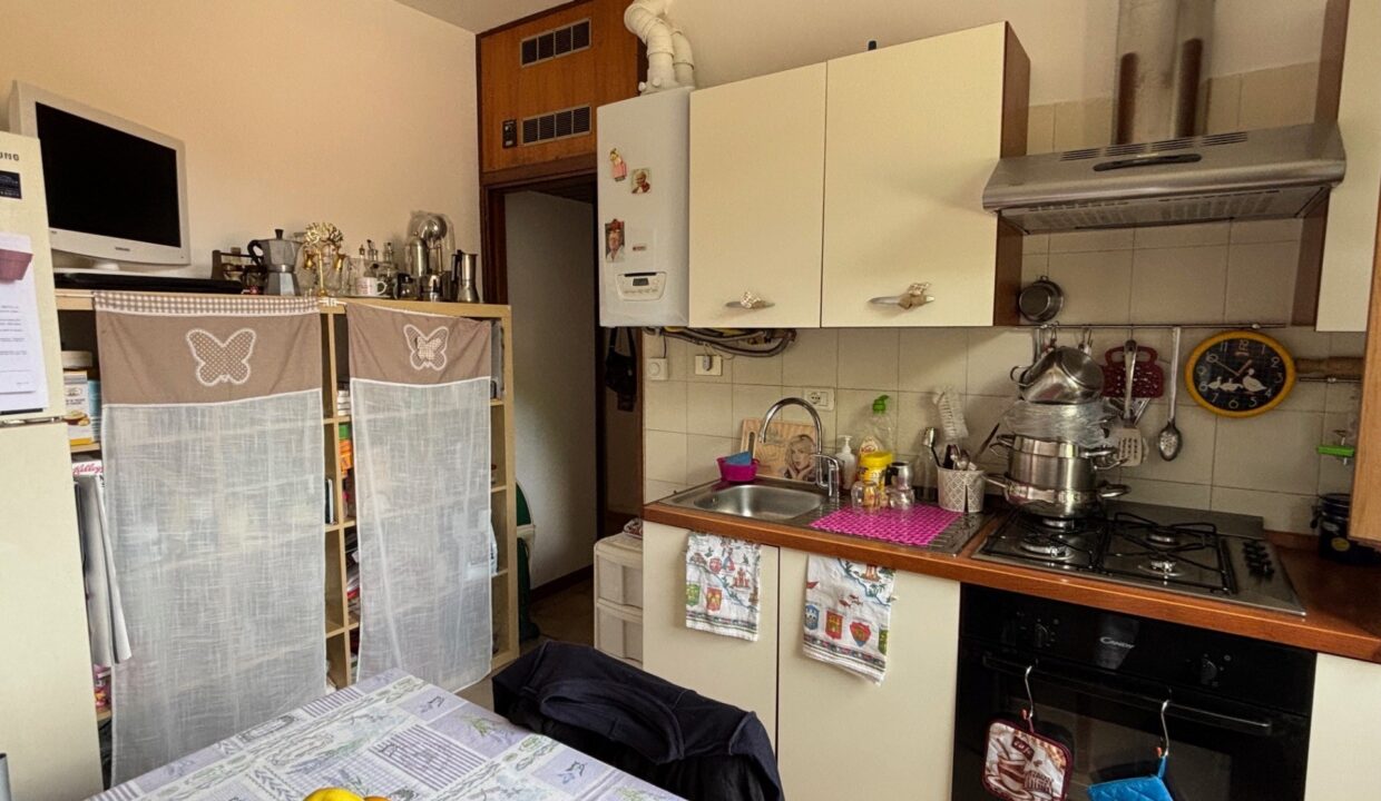 photo_154298_SLSDAISY-8