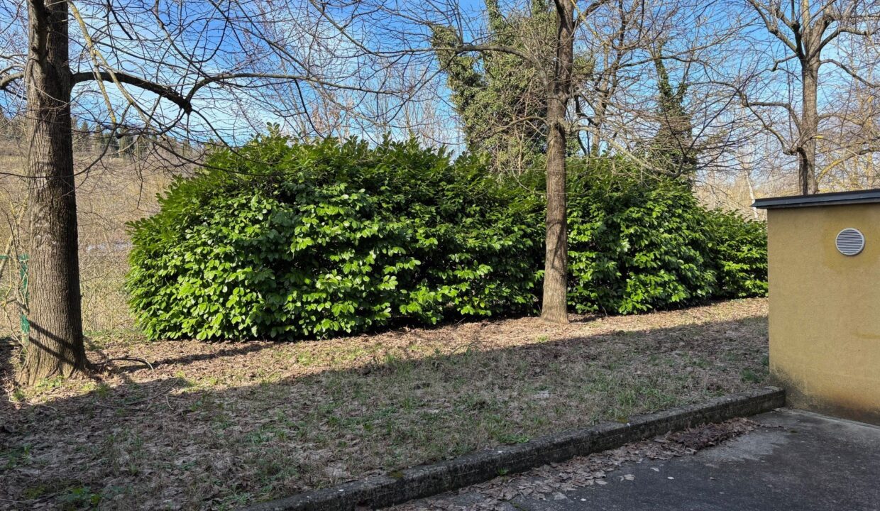 photo_154787_SLSCABA-14